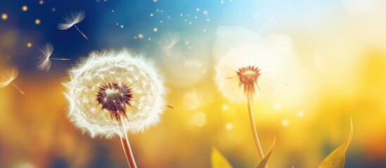 Two dandelions blowing in the wind - Powered by Adobe