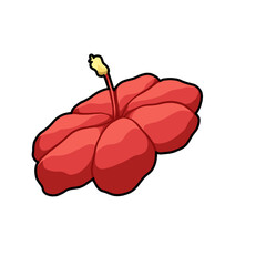 Hibiscus Flower