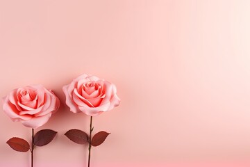 Rose Gradient Background, simple form and blend of color spaces as contemporary background graphic backdrop blank empty with copy space