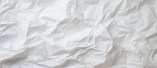 Obraz premium Black cat on creased white paper