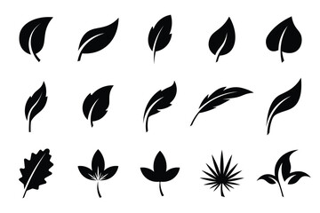 Leaf icons set .Leaves of trees and plants. Leaf silhouette. Leaf Collection. Leaf vector .Decoration elements design, eco, bio, vegan labels. Vector illustration. - obrazy, fototapety, plakaty