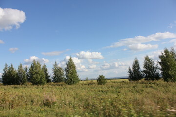 nature, summer, trees, sky, greens