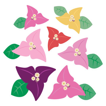 ブーゲンビリア Images – Browse 3,702 Stock Photos, Vectors, and