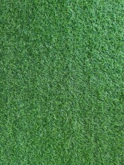 green grass pattern texture,green grass background ,top view background of grass garden, green backdrop, lawn for football field, golf course lawn	
