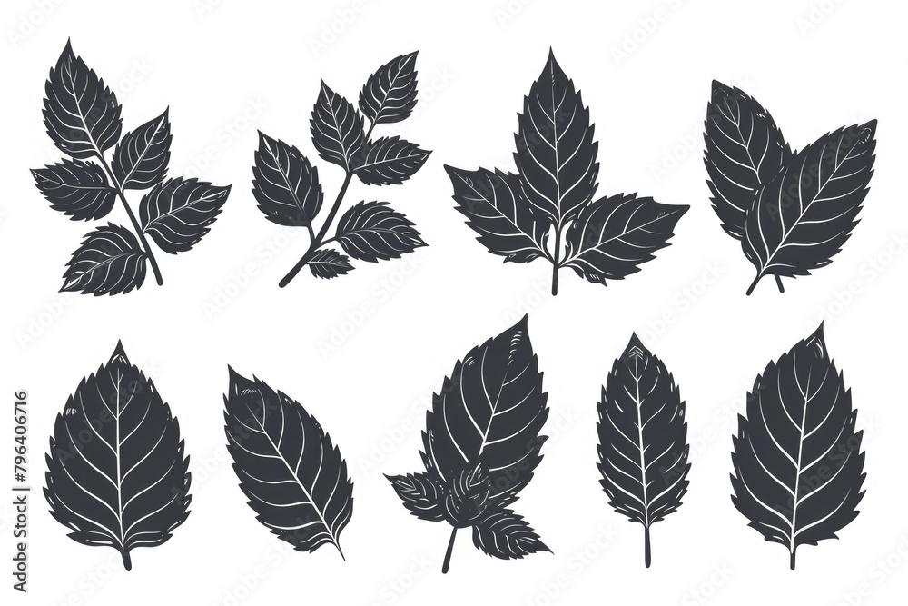 Poster a set of black leaves on a white background. suitable for various design projects