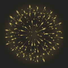 Firework Explosion Isolated on Dark Background