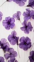 Pressed petunia flowers wallpaper backgrounds purple petal.