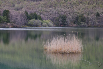 landscape, view, mountains, nature, outdoors, mountain, wildlife