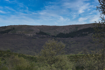 landscape, view, mountains, nature, outdoors, mountain, wildlife