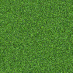 Grass lawn ground building garden plant park vegetation natural texture material surface forest png wallpaper