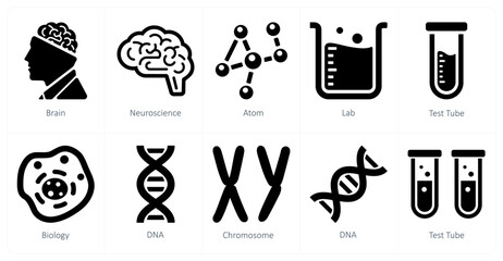 A set of 10 Science and Experiment icons as brain, neuroscience, atom