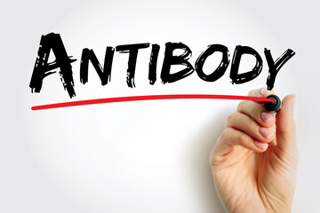 Antibody - is a large Y-shaped protein used by the immune system to identify and neutralize foreign objects such as pathogenic bacteria and viruses, text concept background
