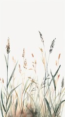 Illustration of meadow plant grass tranquility. - obrazy, fototapety, plakaty