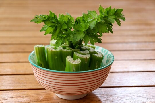 Celery growing in water in a colorful bowl.