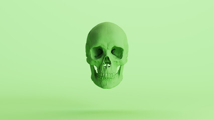 Human skull green mint soft tones anatomical cranium Halloween horror background 3d illustration render digital rendering - 796427120