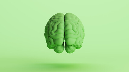Human brain anatomy organ intelligence neurology think mind green soft tones rear view 3d illustration render digital rendering	 - 796427588