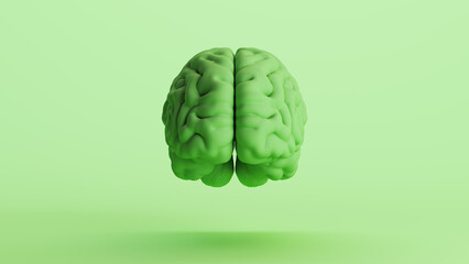 Human brain anatomy organ intelligence neurology think mind green soft tones front view 3d illustration render digital rendering	 - 796427982