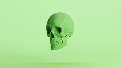 Human skull green mint soft tones anatomical cranium Halloween horror background quarter left side 3d illustration render digital rendering	