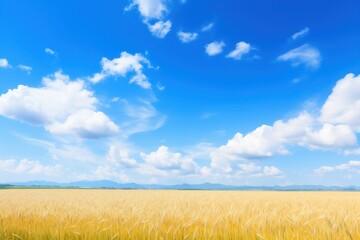 Fototapeta premium Photo of beautiful blue sky field landscape outdoors