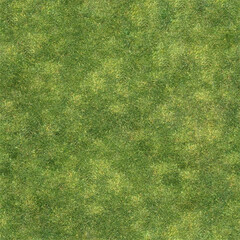 Grass lawn ground building garden plant park vegetation natural texture material surface forest png...
