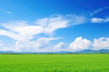 Obraz premium Photo of beautiful blue sky field landscape outdoors.