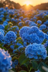 The ground is covered with blue flowers, and the sky in front has a beautiful sunrise.