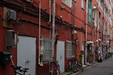 路地裏で見つけた光景