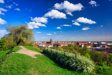 Beautiful blooming tree and the Main City of Gdansk at spring, Poland - obrazy, fototapety, plakaty
