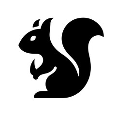 black and white squirrel