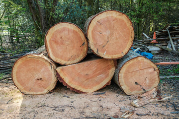 Fototapeta premium Lumber stack waiting to be processed.