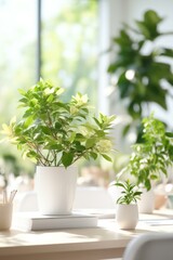 b'Indoor plants bring life to a home office'