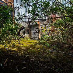 A hidden building entrance seen through overgrowth