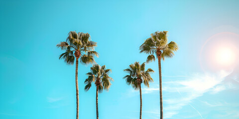 Palm trees against a blue sky background