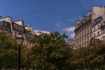 Fototapeta na wymiar view of the town in the city