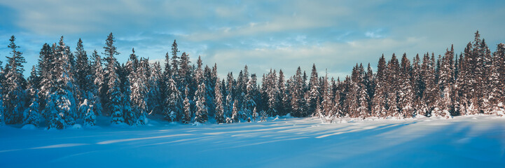 Image from the Oppegardsetra Round Trip up in the Totenaasen Hills, Norway, in winter.