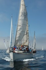 Sailboats gracefully sailing together in the vast expanse of the ocean under clear blue skies