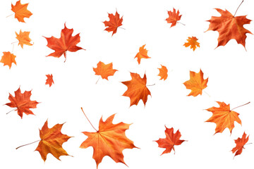 Whirling Symphony of Autumn: A Fluttering Ballet of Orange Leaves. On a White or Clear Surface PNG Transparent Background.