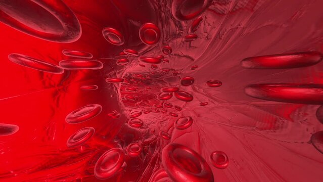 red blood cells flowing through vein