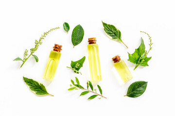 Herbal extract or essential oil for treatment. Bottles and fresh herbs, top view - 796509902