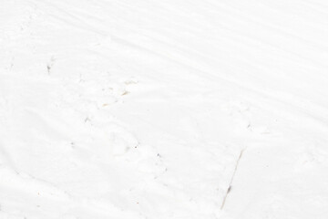 abstract background of white snow on a sunny day