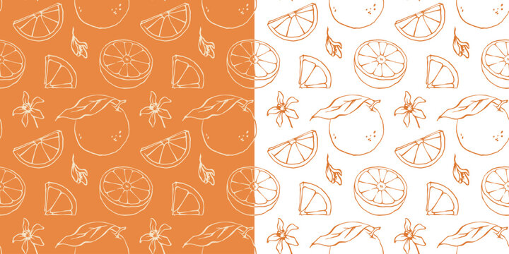 Outline orange vector seamless pattern. Hand drawn ink line sketch style citrus fruits and blossoms endless background for packaging and wrapping paper.