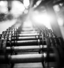 metallic dumbbells align in a row on a stand in the modern gym, close up view