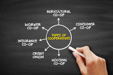 Types of Cooperatives mind map text concept for presentations and reports