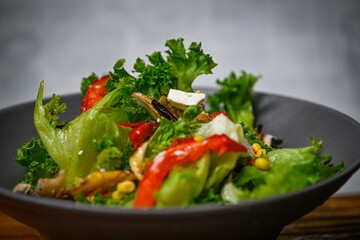 High resolution image of a delicious fresh salad  from organic vegetables- Israel