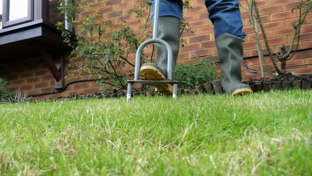 Aerating a lawn in spring with a lawn aeration tool