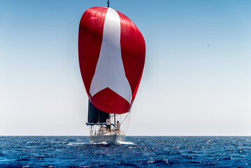 Sailing boat with red sail during the regatta - obrazy, fototapety, plakaty