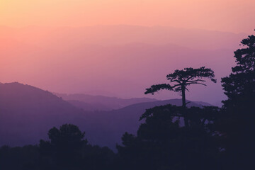 Sunset in the Troodos mountains. Cyprus - 796538171