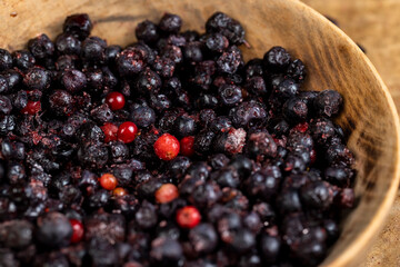 large number of frozen blueberries with red unripe
