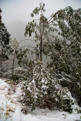 Turismo nas montanhas congeladas de neve em Urubici, Santa Catarina, Brasil