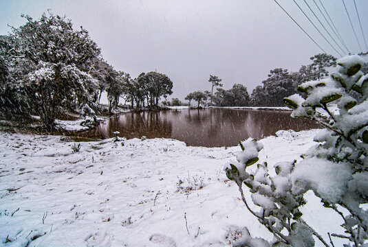 Neve e forte geada na cidade de Urubici, Serra Catarinense, Brasil